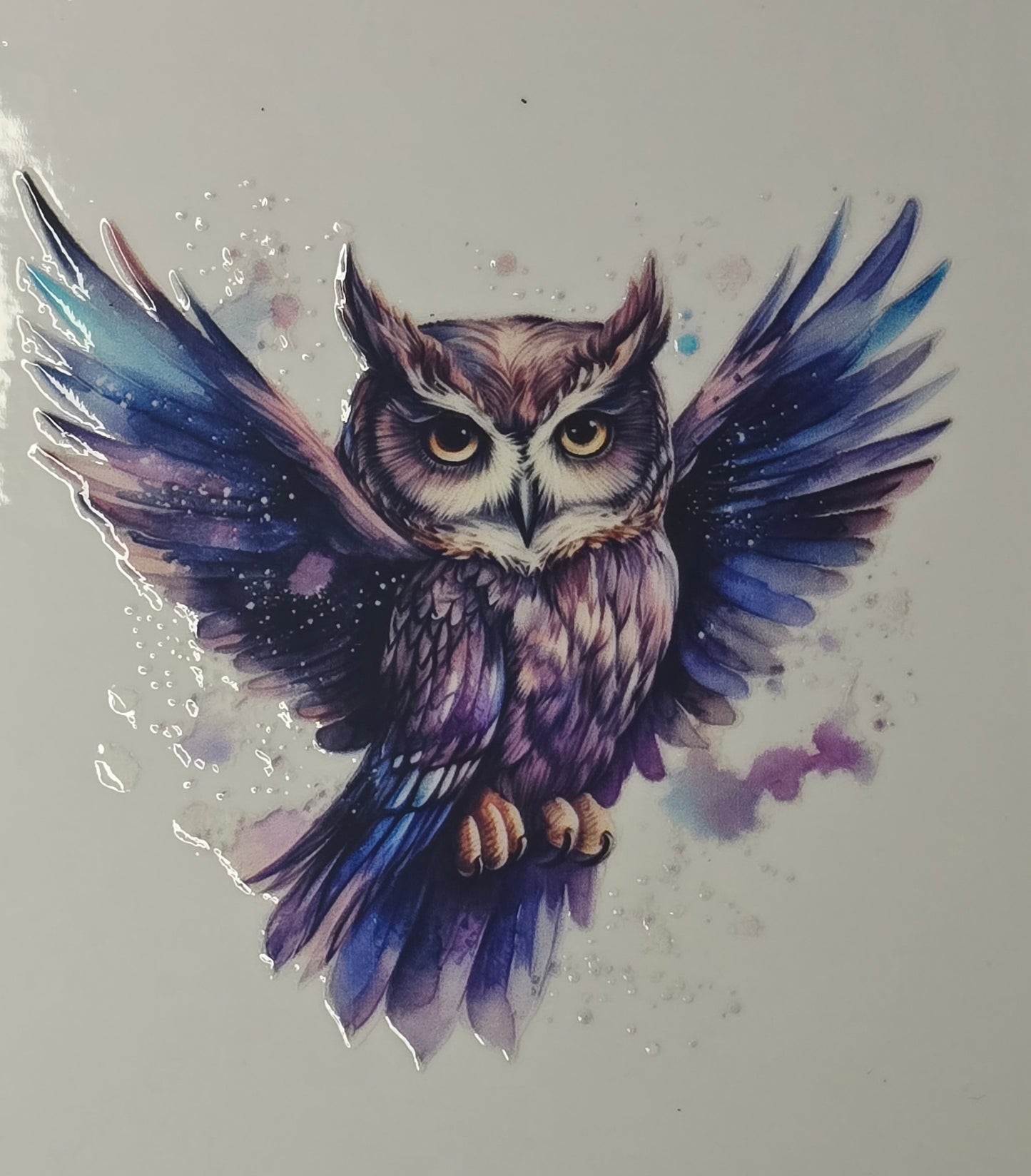 Owl 7