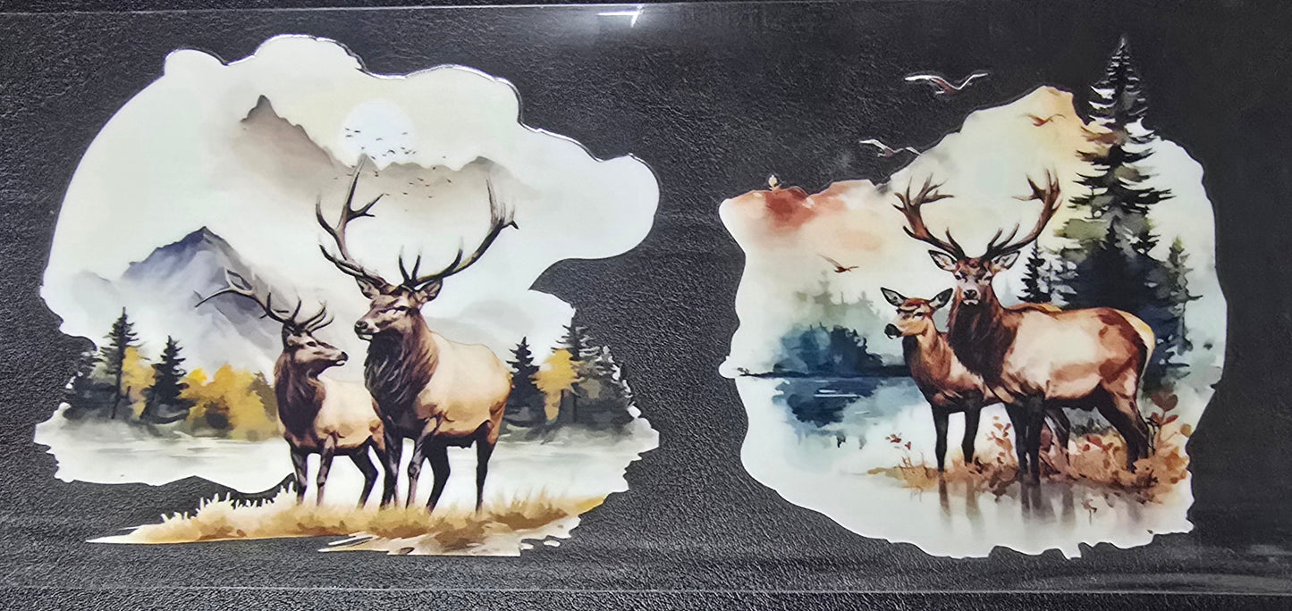 Elk 7