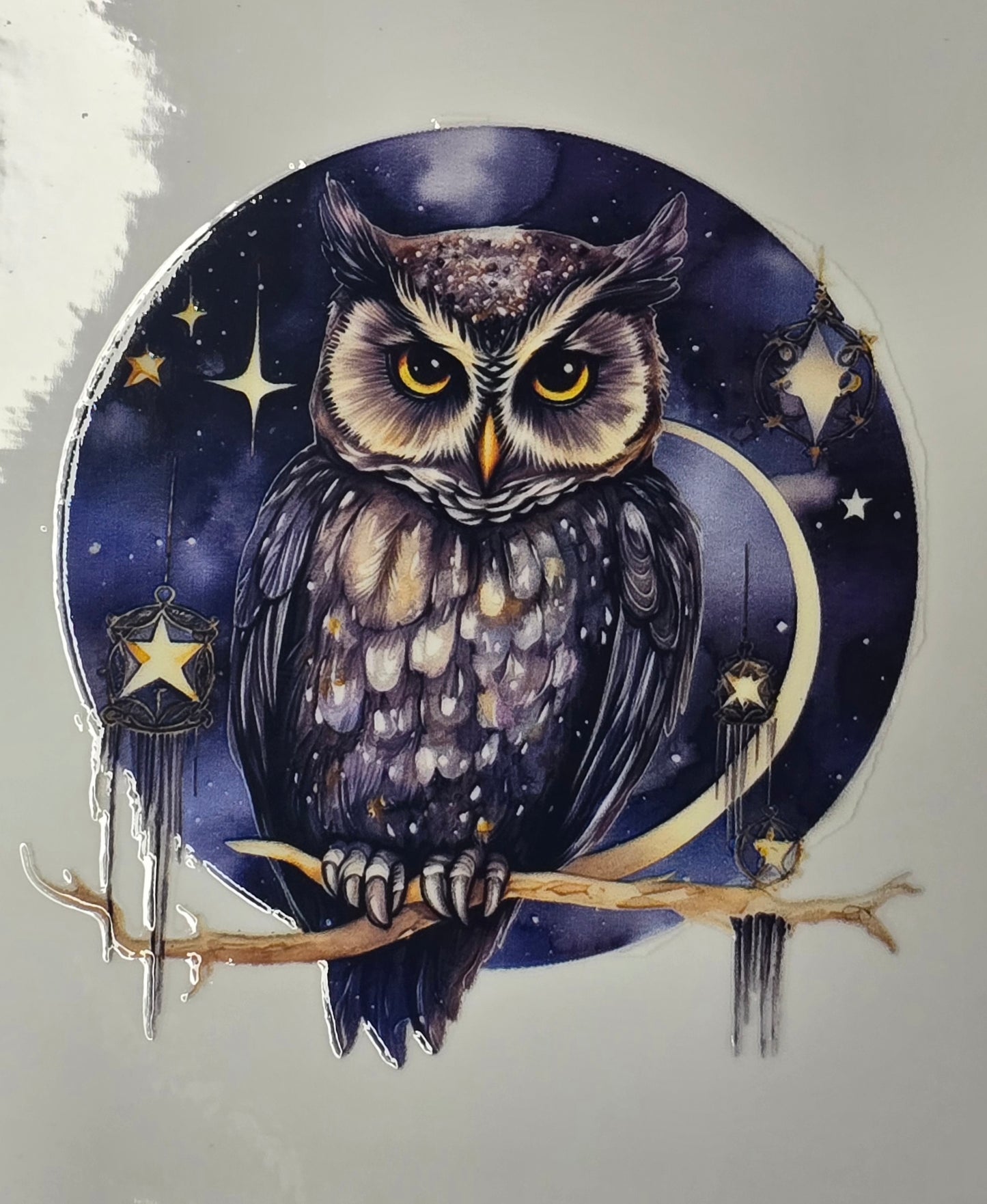 Owl 8