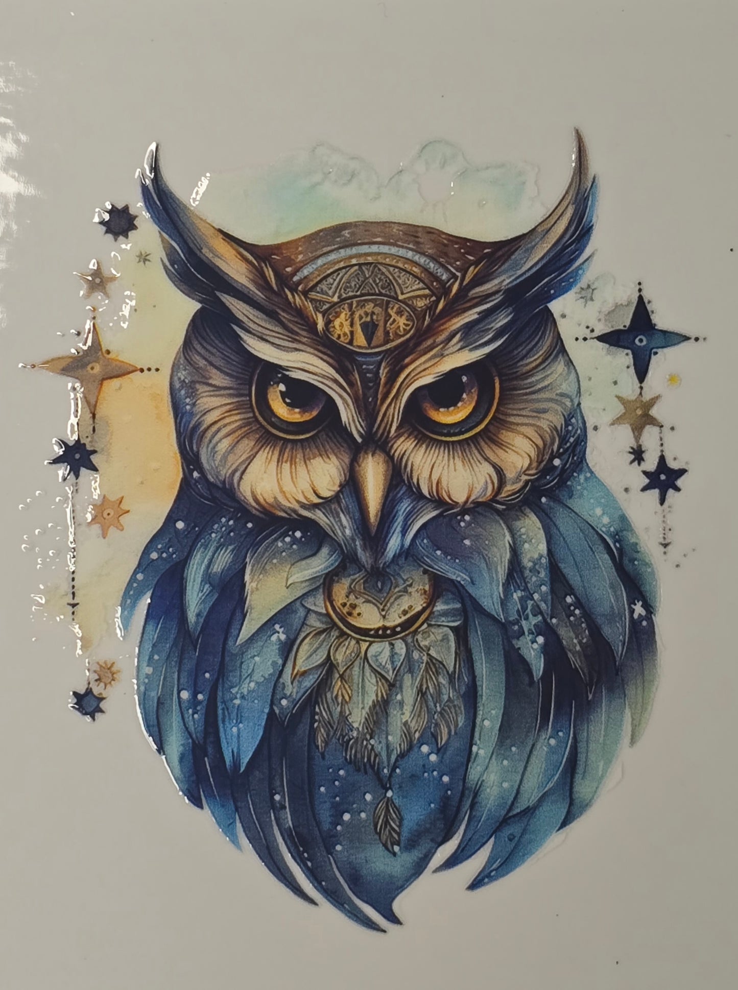Owl 5