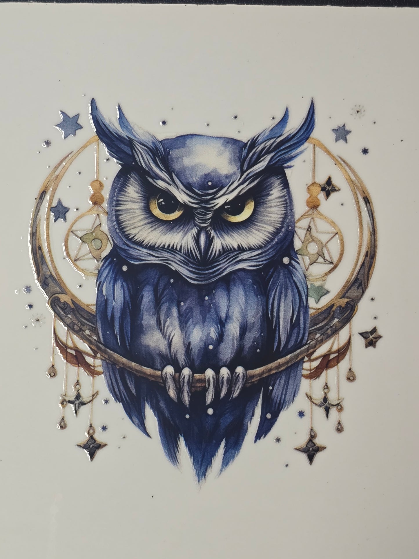 Owl 10