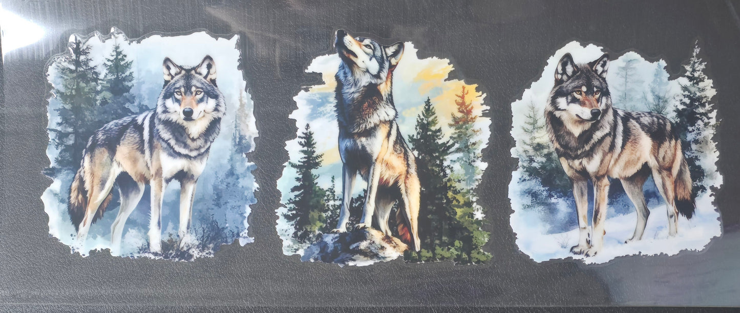 Wolf