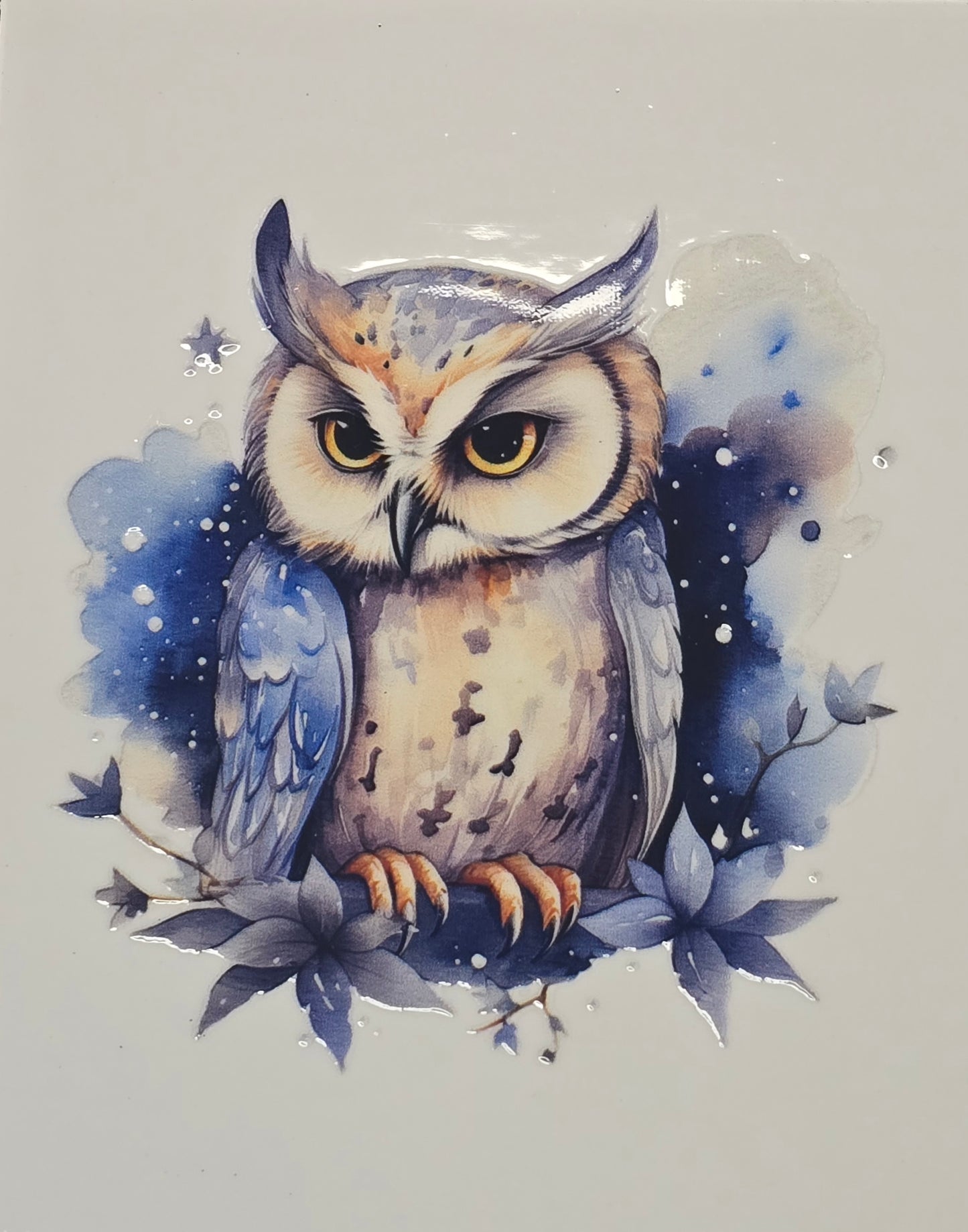 Owl 4