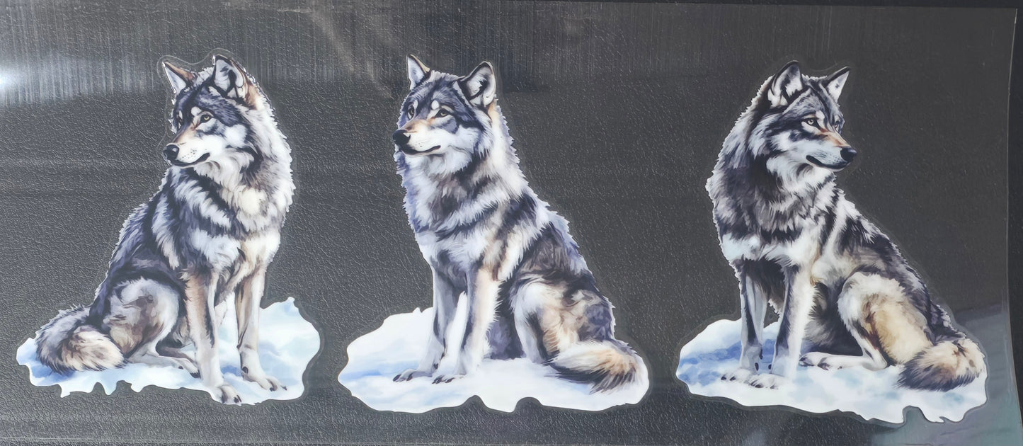 Wolf 3