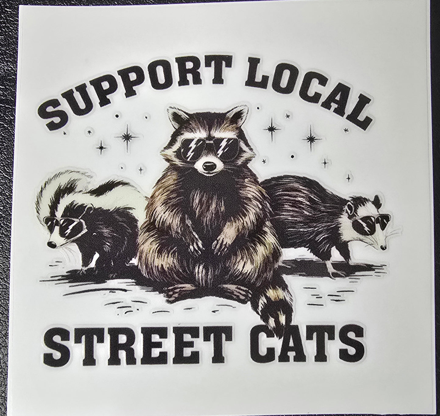 Street cats