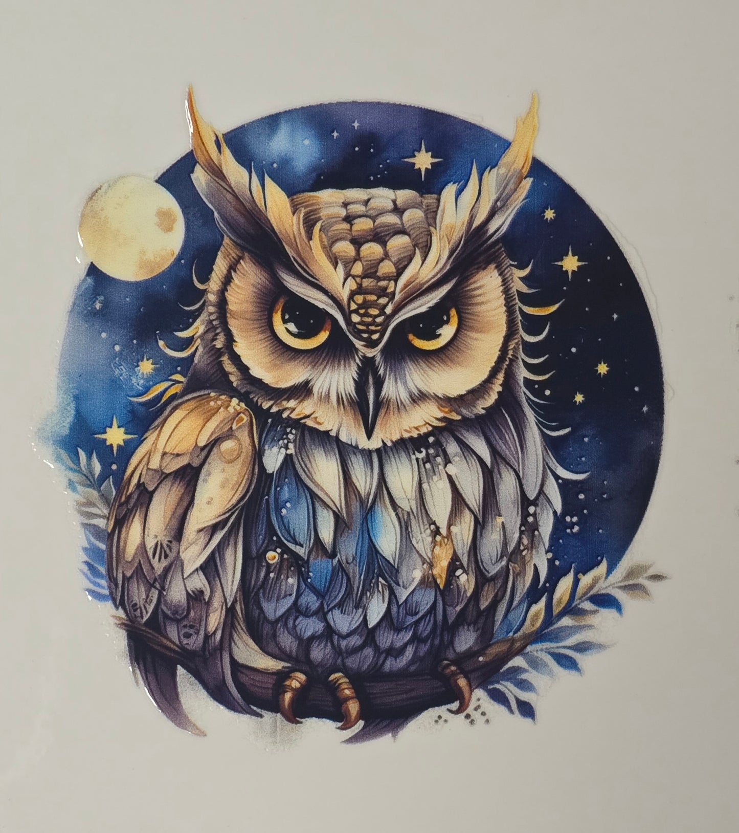 Owl 17
