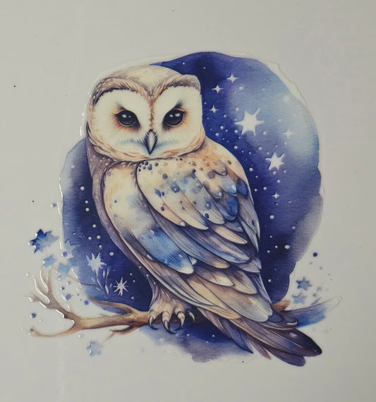 Owl 20