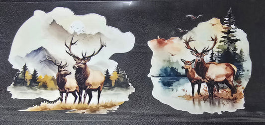 Elk 7