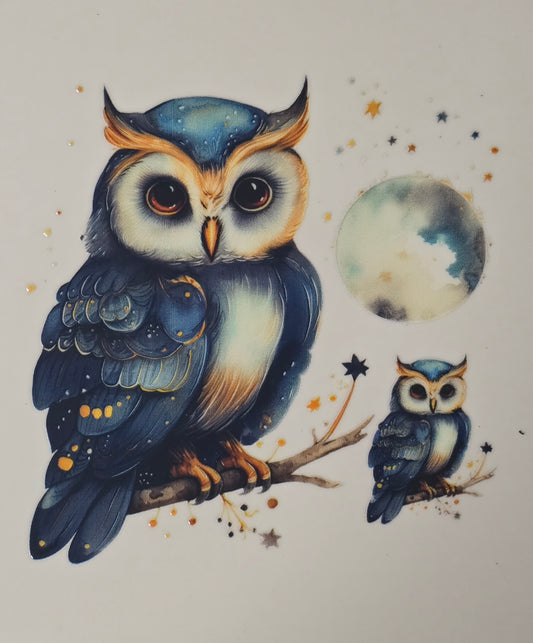 Owl 23