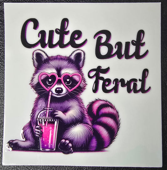 Cute but feral