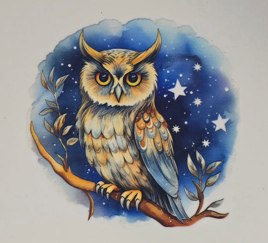 Owl 22