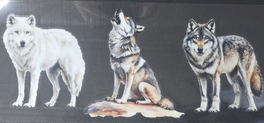 Wolf 4