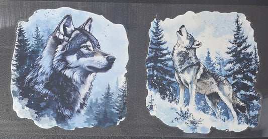 Wolf 7