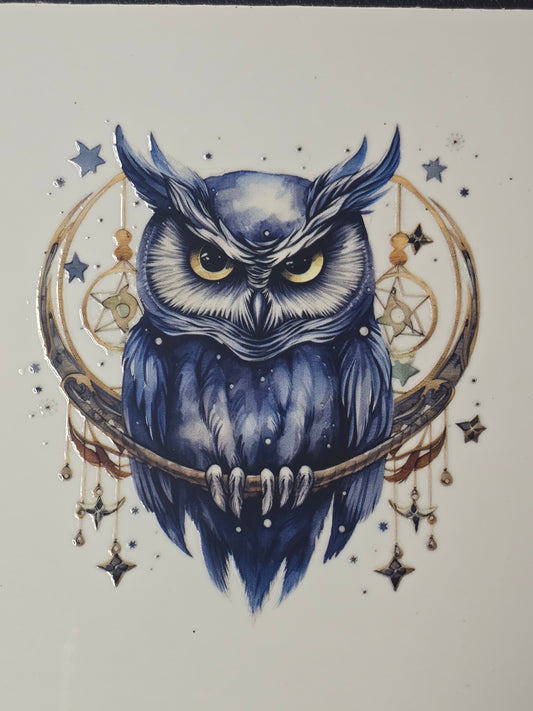 Owl 10