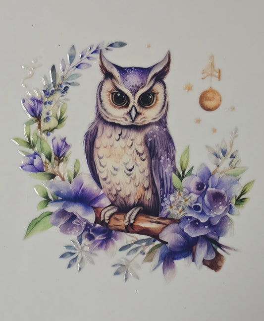 Owl 21
