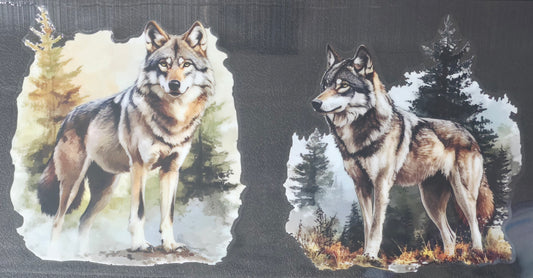 Wolf 6
