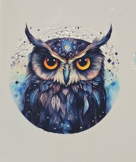 Owl 3