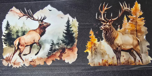 Elk 4