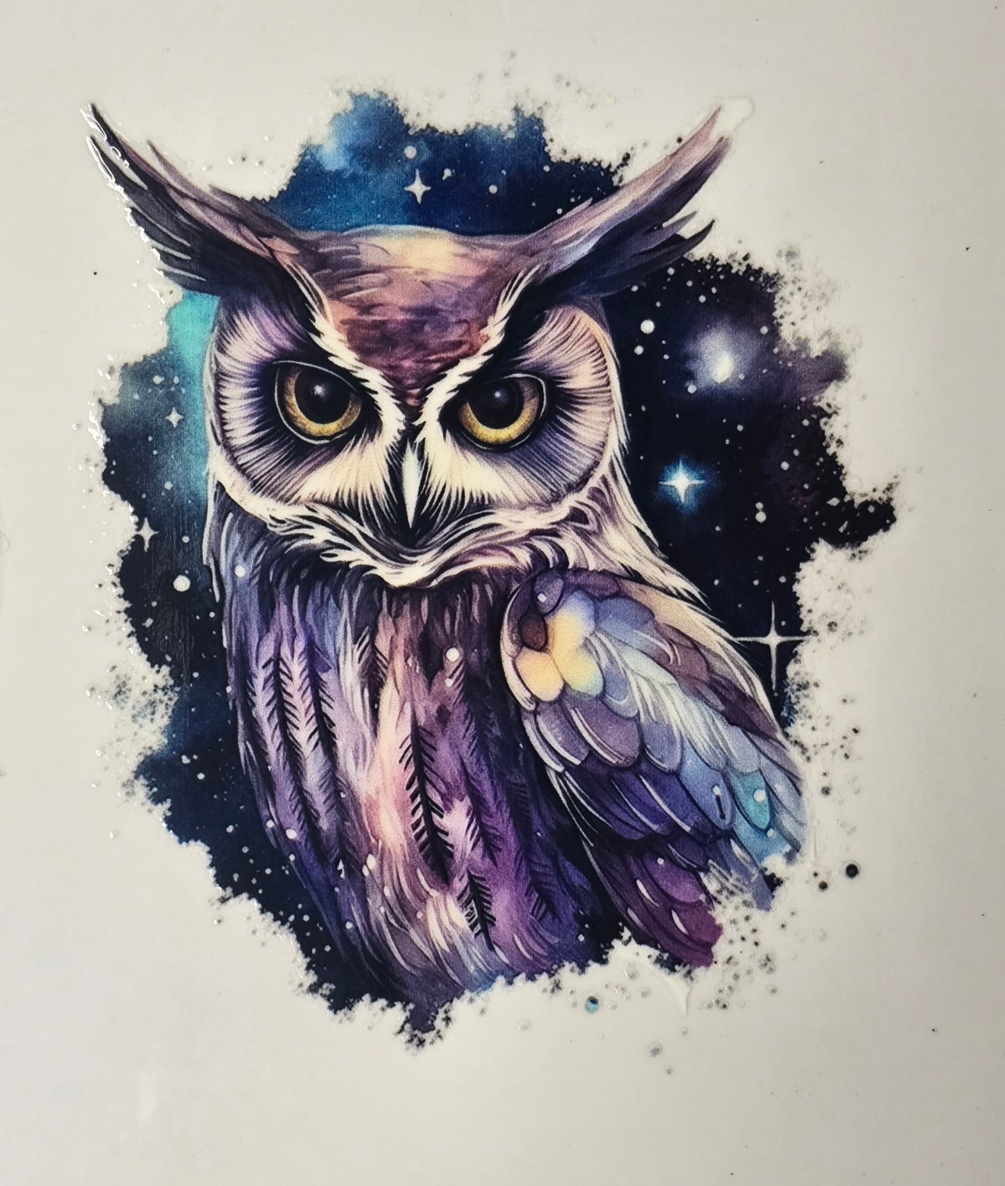 Owl 16