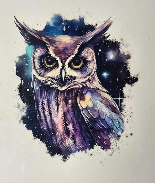 Owl 16
