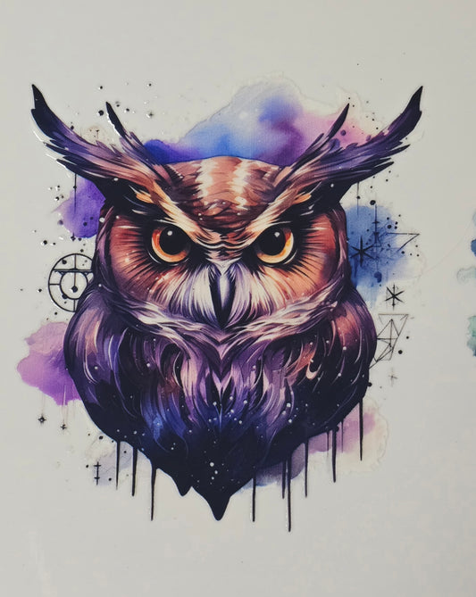 Owl 12