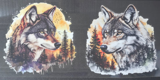 Wolf 5
