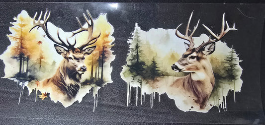 Deer