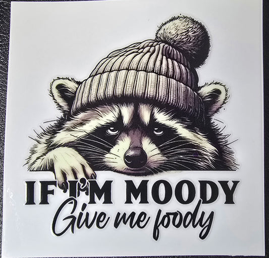 Moody raccoon