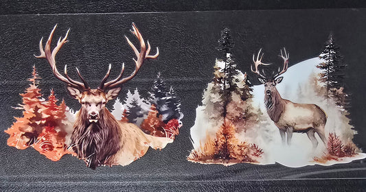 Elk 3
