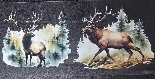 Elk