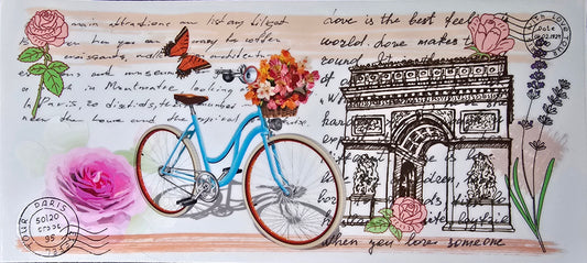 Paris blue bike