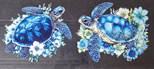 Turtle 8