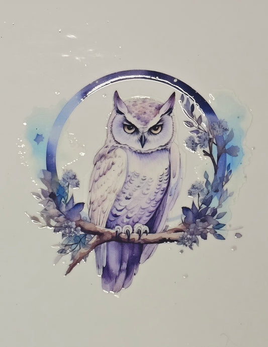 Owl 2