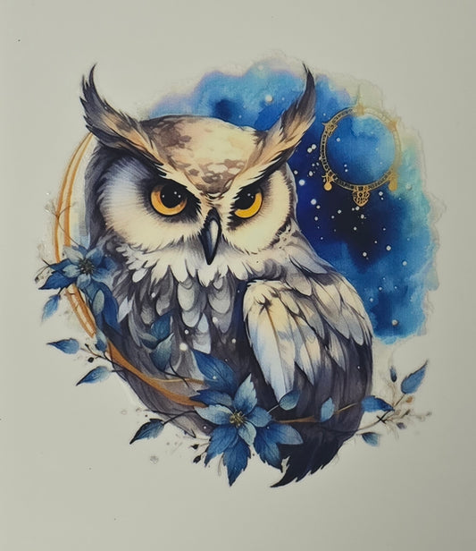 Owl 19