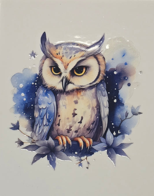 Owl 4
