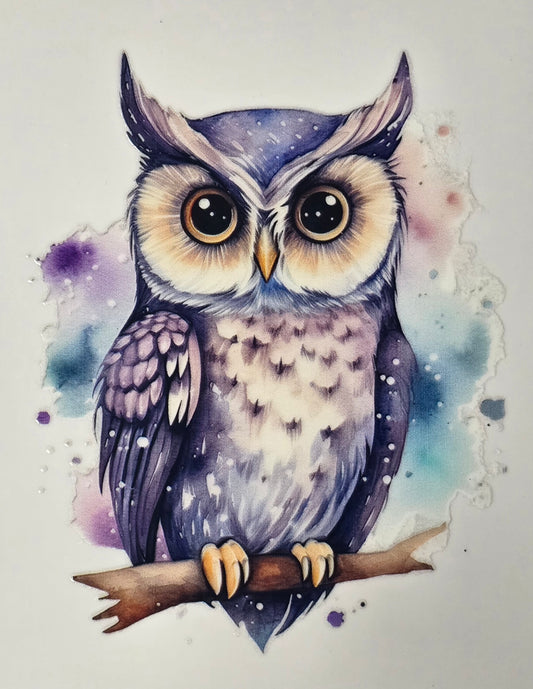 Owl 24