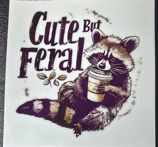Cute but feral