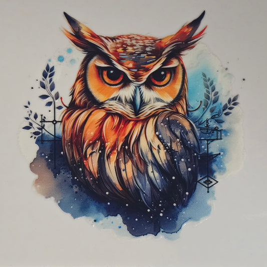 Owl 25