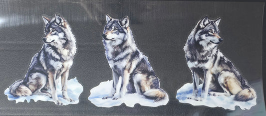 Wolf 3