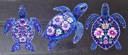 Turtle 5
