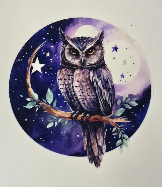 Owl 9
