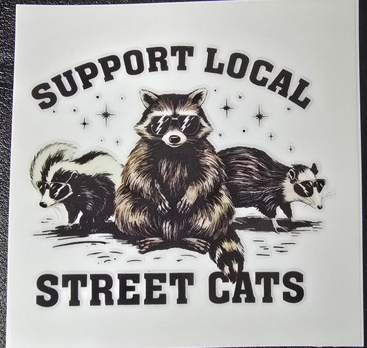 Street cats