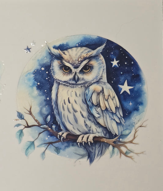 Owl