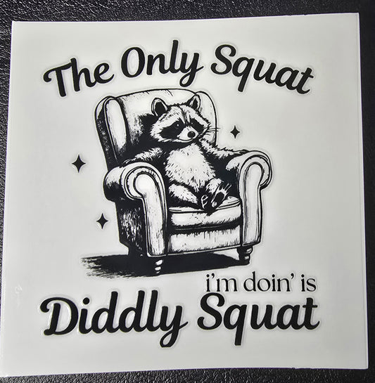 Diddly squat