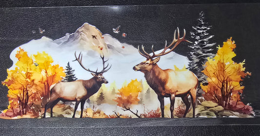 Elk 6
