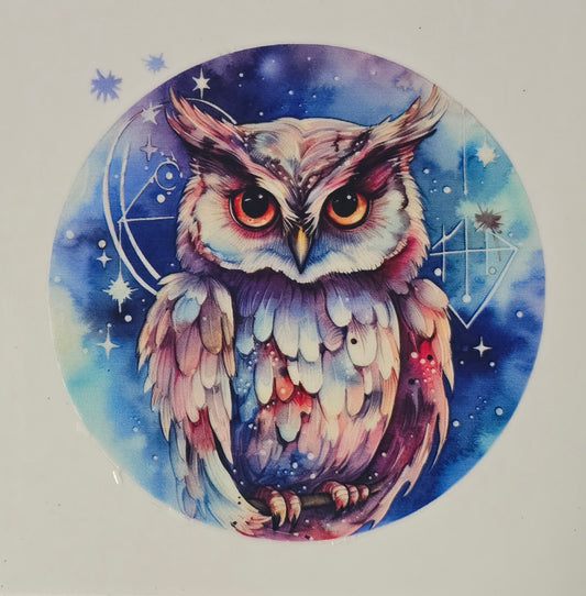 Owl 14
