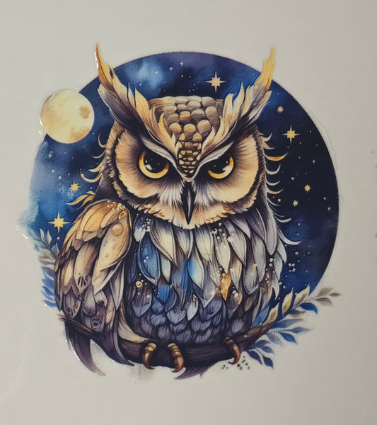 Owl 18