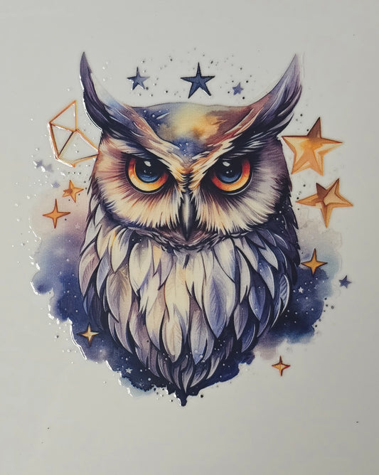 Owl 15