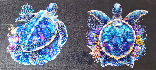 Turtle 6