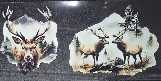 Elk 8